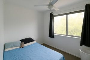 Copy-of-Image-Nov-11_d818-e5cd-6c73-a291-dbb6-5f5f-edb5-a280_20251113050836_800x600